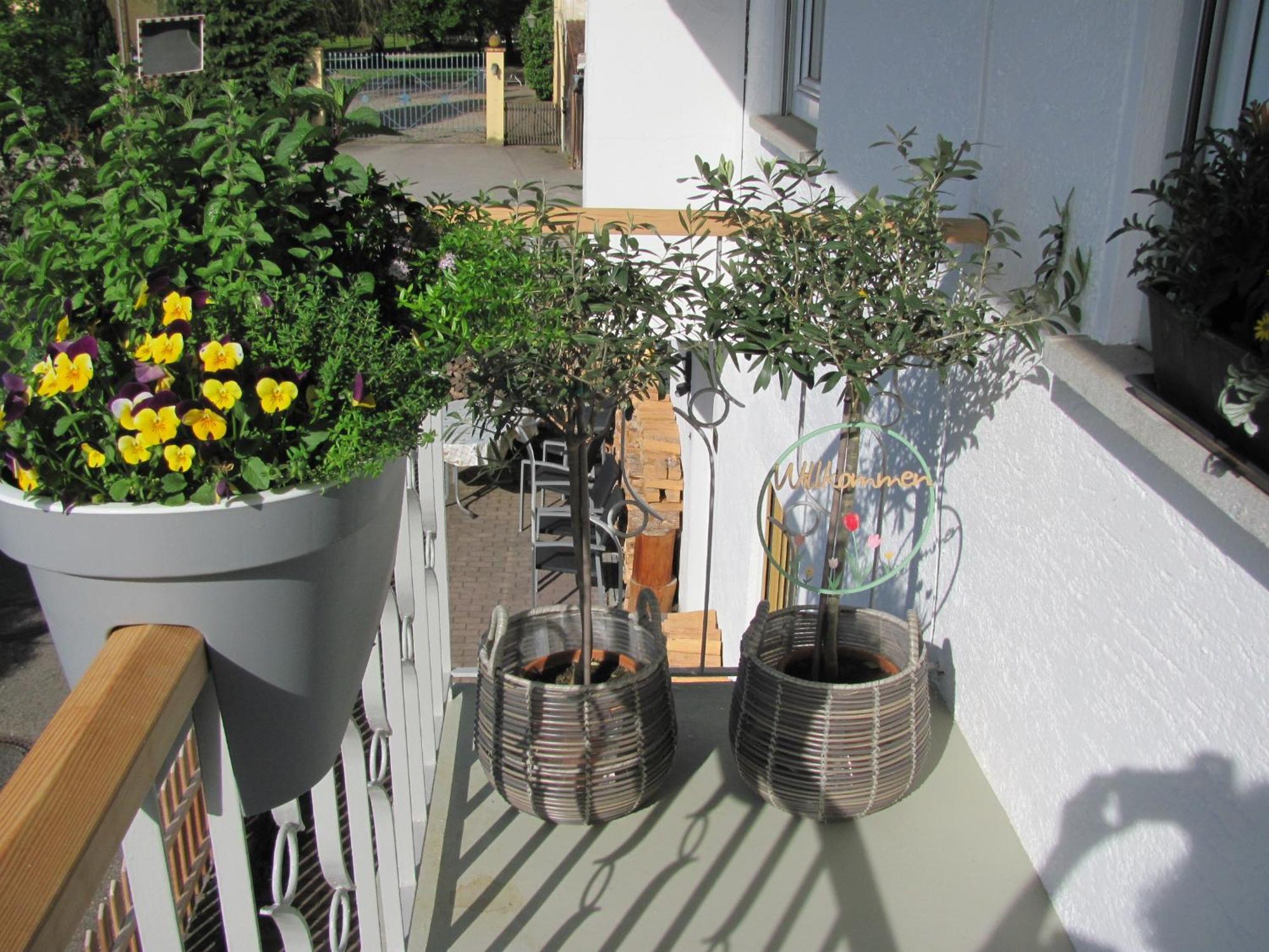 #1Gemuetliches Ruhiges Sonniges Balkonzimmer Mit Gemeinschaftsbad W-Lan Airport Nah Late Night Check In Haus Nr 9,5 Trunkelsberg Екстер'єр фото